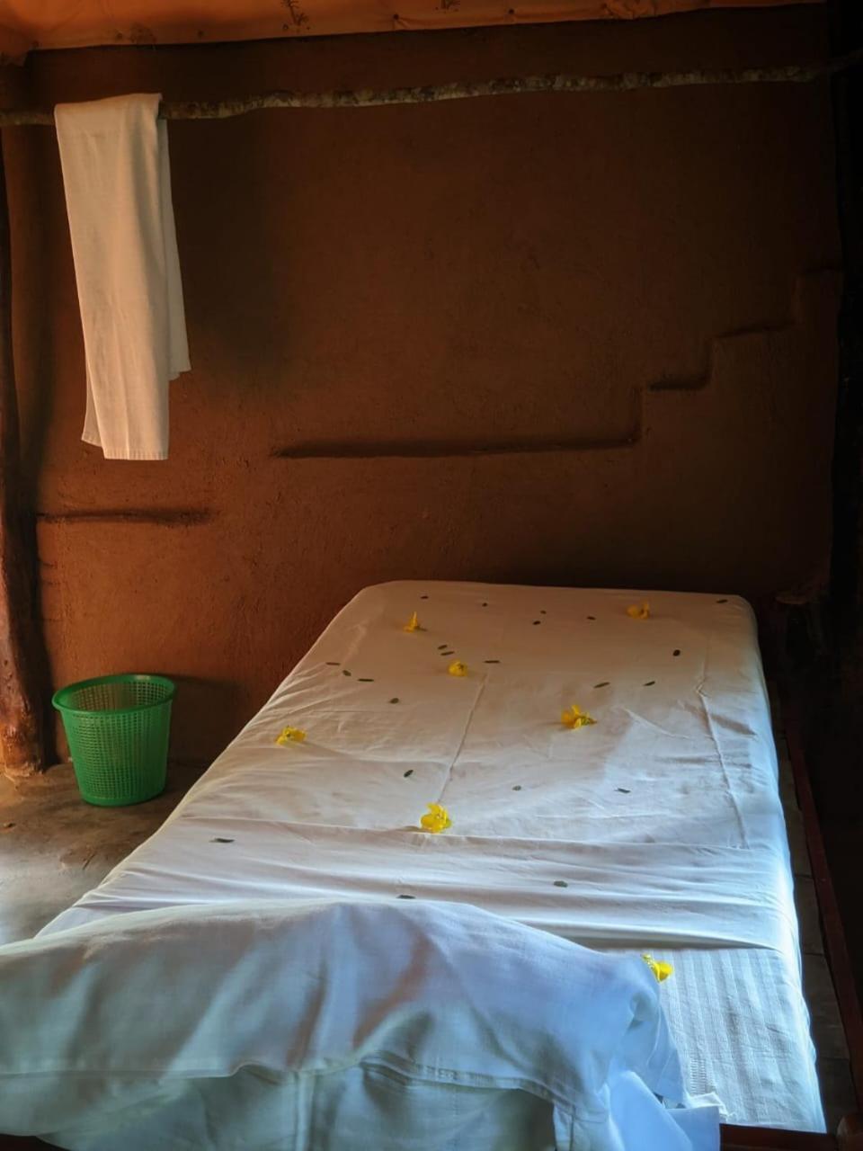 Jungle Haven Lodge *