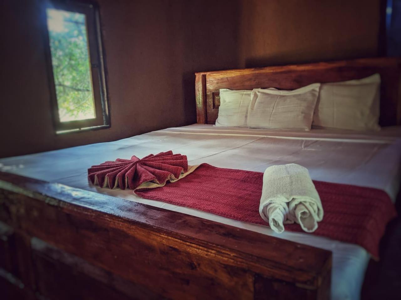 Jungle Haven Lodge *