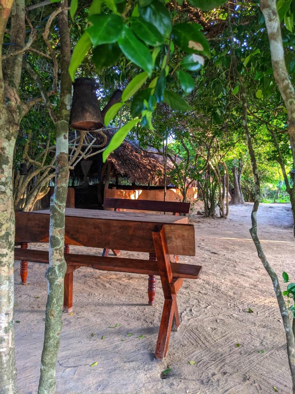 Jungle Haven